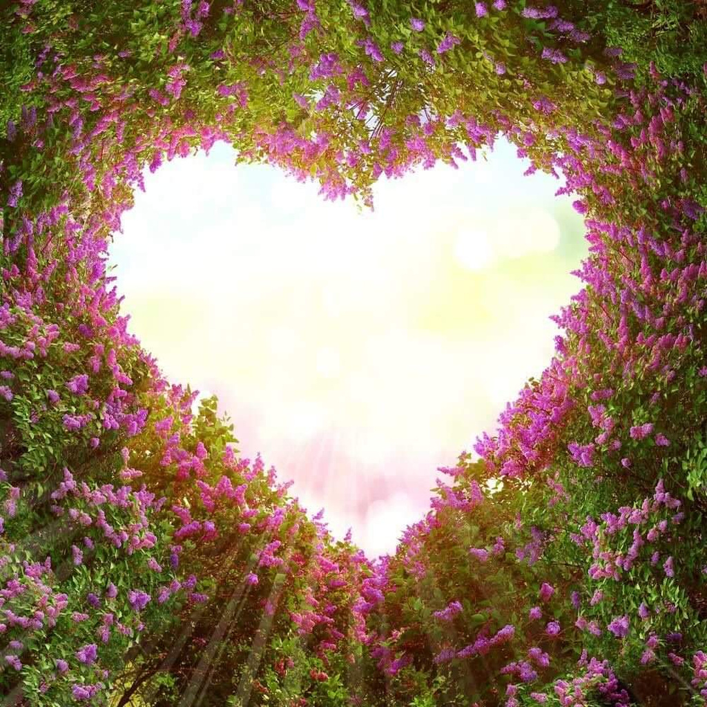 Природа любви описание. Сердце в природе. Цветочная арка. Сердечки в природе. Природа в виде сердца.